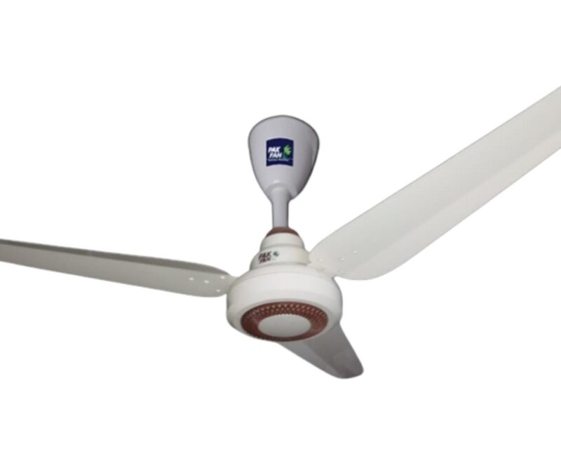 Pak Fan King Series Inverter Fan-30 watt-56"