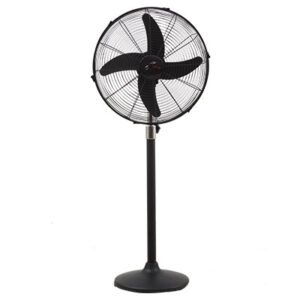Royal Fan Pedestal Black 18" (MAGNUM)