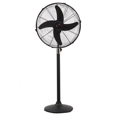 Royal Fan Pedestal Black 18" (MAGNUM)