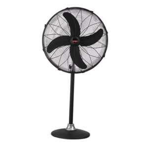 Royal Fan Pedestal 24" AC-DC