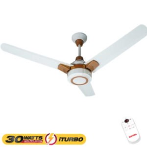 Royal Fan 30W Ambassador O/W Gold (Turbo)