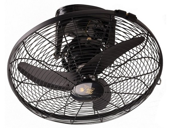 Pak Fan Circo Black