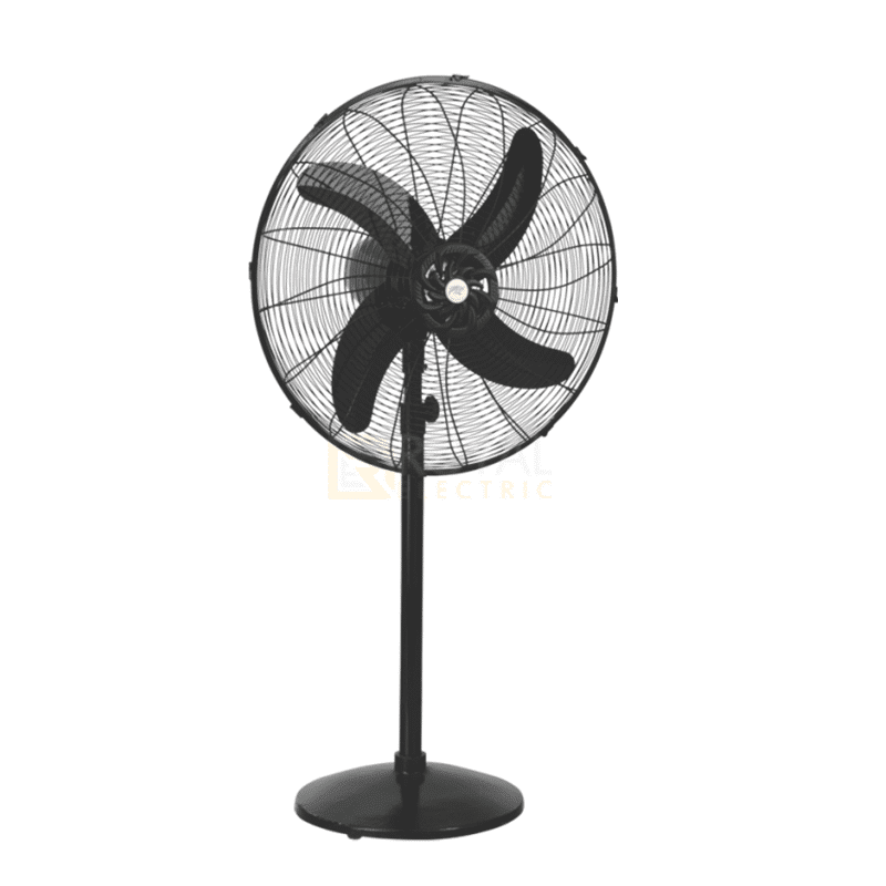 Royal Fan Pedestal 24" Special Guard (HD)